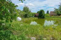 /album/philemons-garten-9-mai-2026/philemons-garten-09-05-2026-2-jpg/